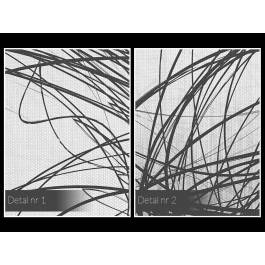 Cząstki splątane - nowoczesny obraz do sypialni - 120x80 cm