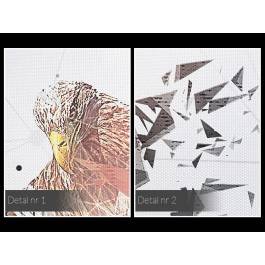 Lot chwały - nowoczesny obraz na płótnie - 120x80 cm