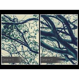 Legenda stumilowego lasu - nowoczesny obraz na płótnie - 120x80 cm