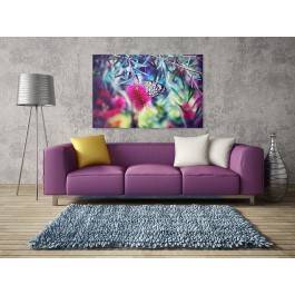 Życie motyli - zdjęcie na płótnie - 120x80 cm