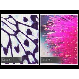 Życie motyli - zdjęcie na płótnie - 120x80 cm