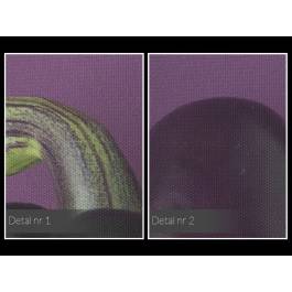 Papryka oda - fotoobraz do kuchni