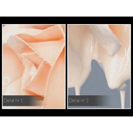 Performance - fotoobraz na płótnie - 120x80 cm