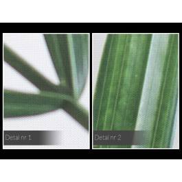 Ukojenie w zieleni - fotografia na płótnie - 120x80 cm