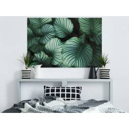 Welcome to the jungle - nowoczesny obraz na płótnie - 120x80 cm Welcome to the jungle - nowoczesny obraz na płótnie - 120x80 cm