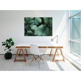 Welcome to the jungle - nowoczesny obraz na płótnie - 120x80 cm Welcome to the jungle - nowoczesny obraz na płótnie - 120x80 cm