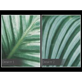 Welcome to the jungle - nowoczesny obraz na płótnie - 120x80 cm Welcome to the jungle - nowoczesny obraz na płótnie - 120x80 cm