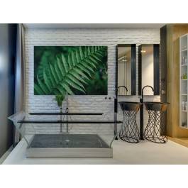 Liść paproci - zdjęcie na płótnie - 120x80 cm