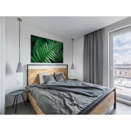 Liść paproci - zdjęcie na płótnie - 120x80 cm