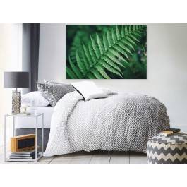 Liść paproci - zdjęcie na płótnie - 120x80 cm