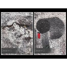 Stop making stupid people famous - fotoobraz do salonu - 120x80 cm