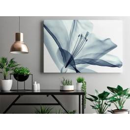 Transparentna nieuchwytność - nowoczesny obraz do sypialni - 120x80 cm