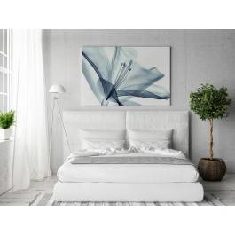 Transparentna nieuchwytność - nowoczesny obraz do sypialni - 120x80 cm