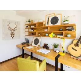 Jeleń szlachetny - nowoczesny obraz na płótnie - 80x80 cm