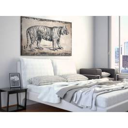 Książę dżungli - nowoczesny obraz na płótnie - 120x80 cm