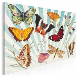 Atlas motyli - nowoczesny obraz na płótnie - 120x80 cm