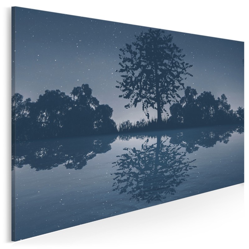 Noc spadających gwiazd - nowoczesny obraz na płótnie - 120x80 cm
