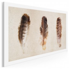 Lekkość ptasich piór - nowoczesny obraz na płótnie - 120x80 cm
