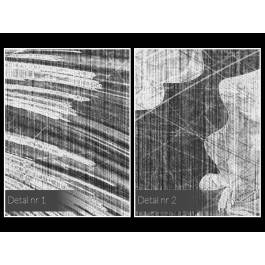 Taniec żywiołów w szarościach - nowoczesny obraz na płótnie - 120x80 cm