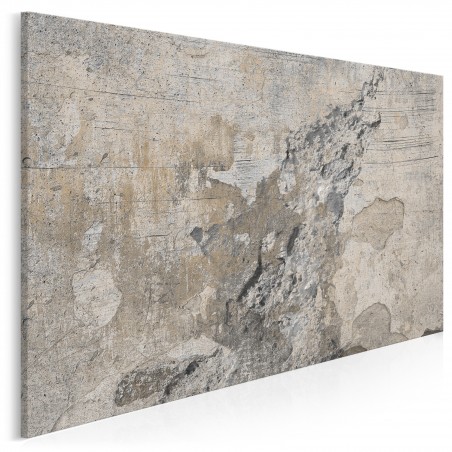 Surowe piękno - nowoczesny obraz na płótnie - 120x80 cm