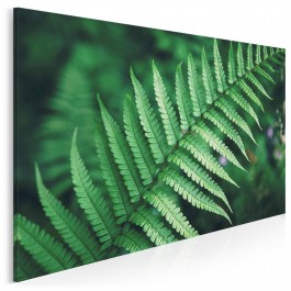 Liść paproci - zdjęcie na płótnie - 120x80 cm