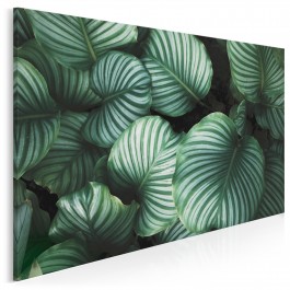 Welcome to the jungle - nowoczesny obraz na płótnie - 120x80 cm Welcome to the jungle - nowoczesny obraz na płótnie - 120x80 cm