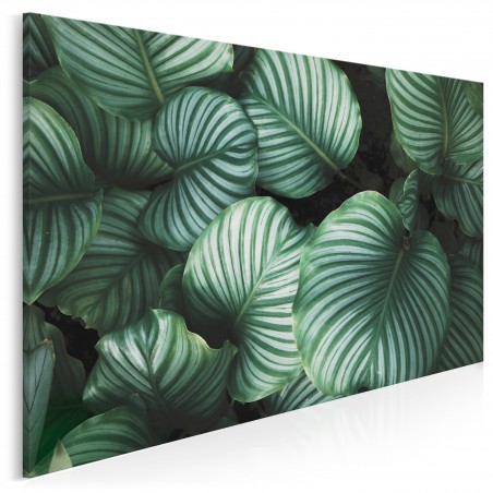 Welcome to the jungle - nowoczesny obraz na płótnie - 120x80 cm