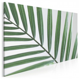 Ukojenie w zieleni - fotografia na płótnie - 120x80 cm