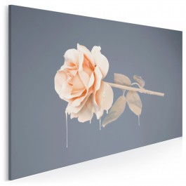 Performance - fotoobraz na płótnie - 120x80 cm