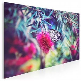 Życie motyli - zdjęcie na płótnie - 120x80 cm