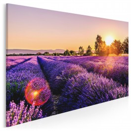 Słońce Prowansji - zdjęcie na płótnie - 120x80 cm Słońce Prowansji - zdjęcie na płótnie - 120x80 cm