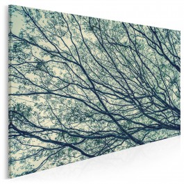 Legenda stumilowego lasu - nowoczesny obraz na płótnie - 120x80 cm