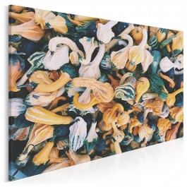 Święto dyni - fotoobraz do kuchni - 120x80 cm