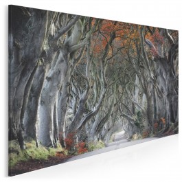 Osobliwy szlak - fotoobraz do salonu - 120x80 cm Osobliwy szlak - fotoobraz do salonu - 120x80 cm