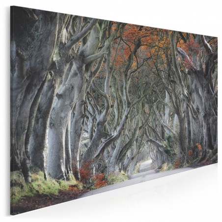 Osobliwy szlak - fotoobraz do salonu - 120x80 cm