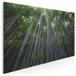 Bambusowy las - fotoobraz do sypialni - 120x80 cm