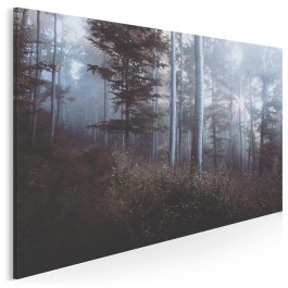 Baśniowy las - fotografia na płótnie - 120x80 cm Baśniowy las - fotografia na płótnie - 120x80 cm