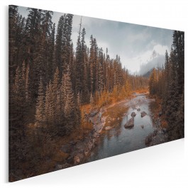 Pomnik przyrody - fotoobraz do salonu - 120x80 cm