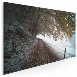 Zimowy spacer - fotoobraz na płótnie - 120x80 cm