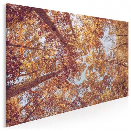 Złota jesień - nowoczesny obraz na płótnie - 120x80 cm