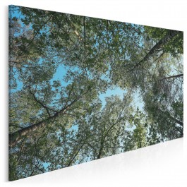 Z głową w chmurach - fotoobraz na płótnie - 120x80 cm Z głową w chmurach - fotoobraz na płótnie - 120x80 cm