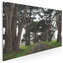 Posągowość natury - fotoobraz do sypialni - 120x80 cm