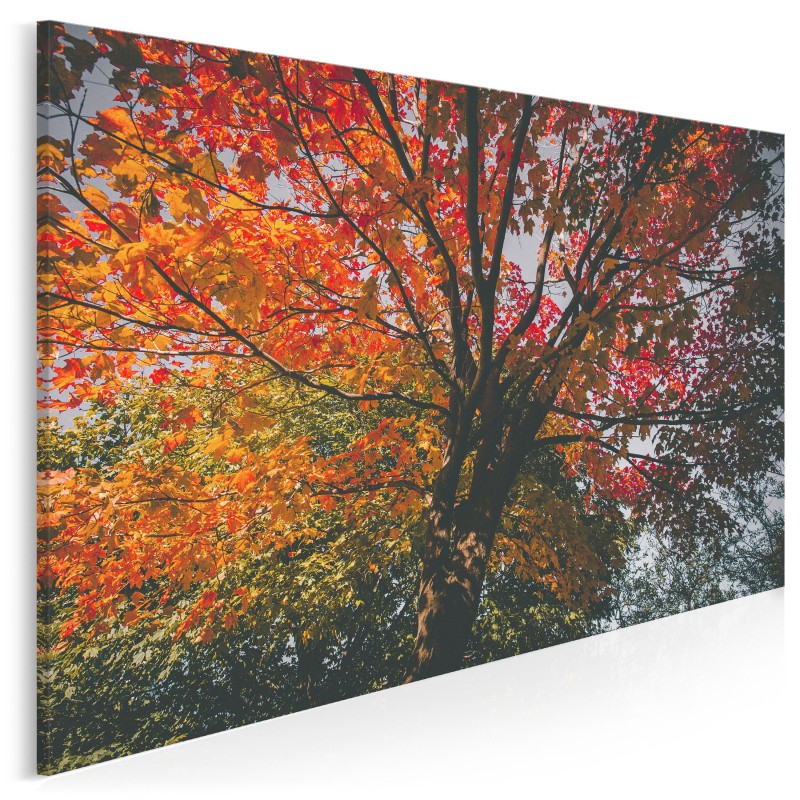 Jesienna paleta barw - nowoczesny obraz na płótnie - 120x80 cm