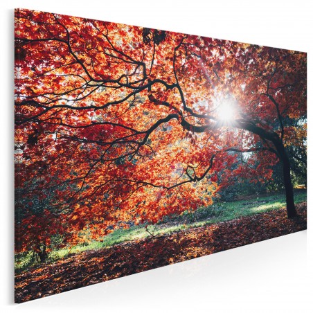 Nim opadną liście - fotoobraz do salonu - 120x80 cm