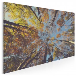 Bujać w obłokach - fotoobraz na płótnie - 120x80 cm