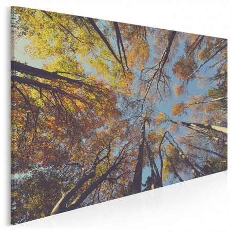 Bujać w obłokach - fotoobraz na płótnie - 120x80 cm