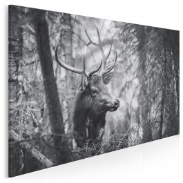 Na straży natury - fotoobraz na płótnie - 120x80 cm Na straży natury - fotoobraz na płótnie - 120x80 cm