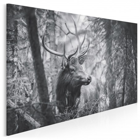 Na straży natury - fotoobraz na płótnie - 120x80 cm
