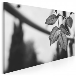 Łzy deszczu - fotoobraz na płótnie - 120x80 cm