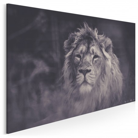 Król zwierząt - fotoobraz do sypialni - 120x80 cm